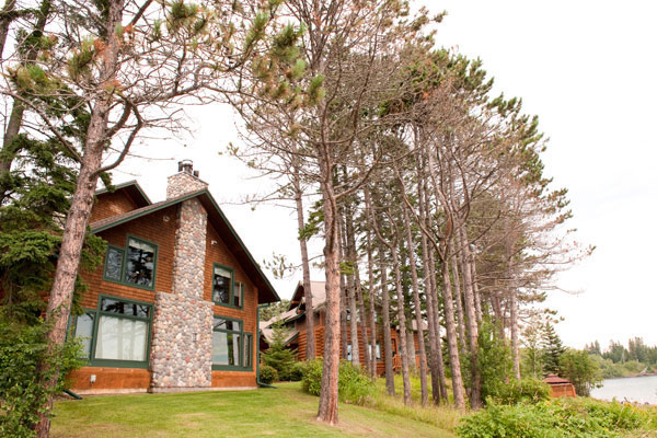 Cottage in woods