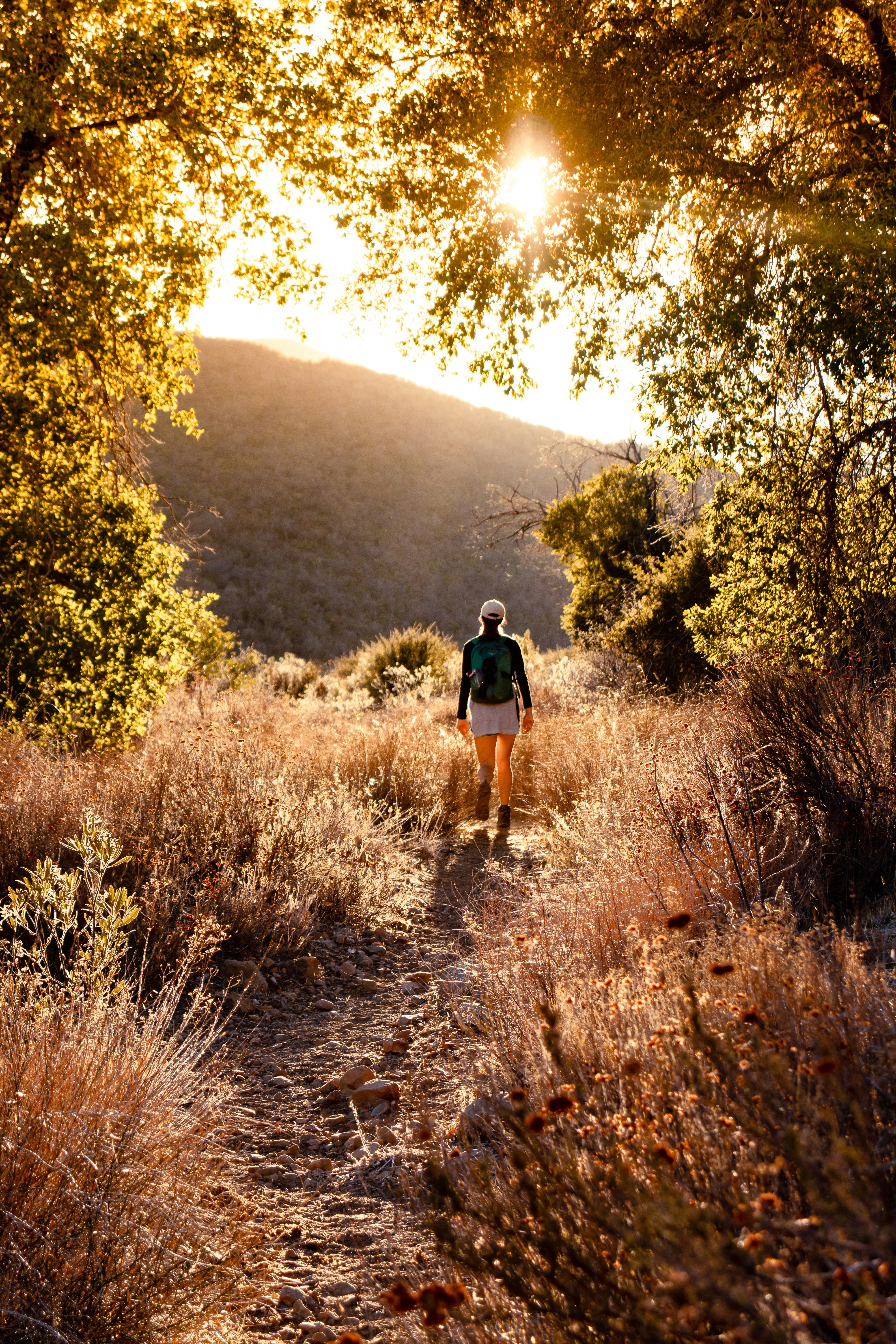 hiking trails