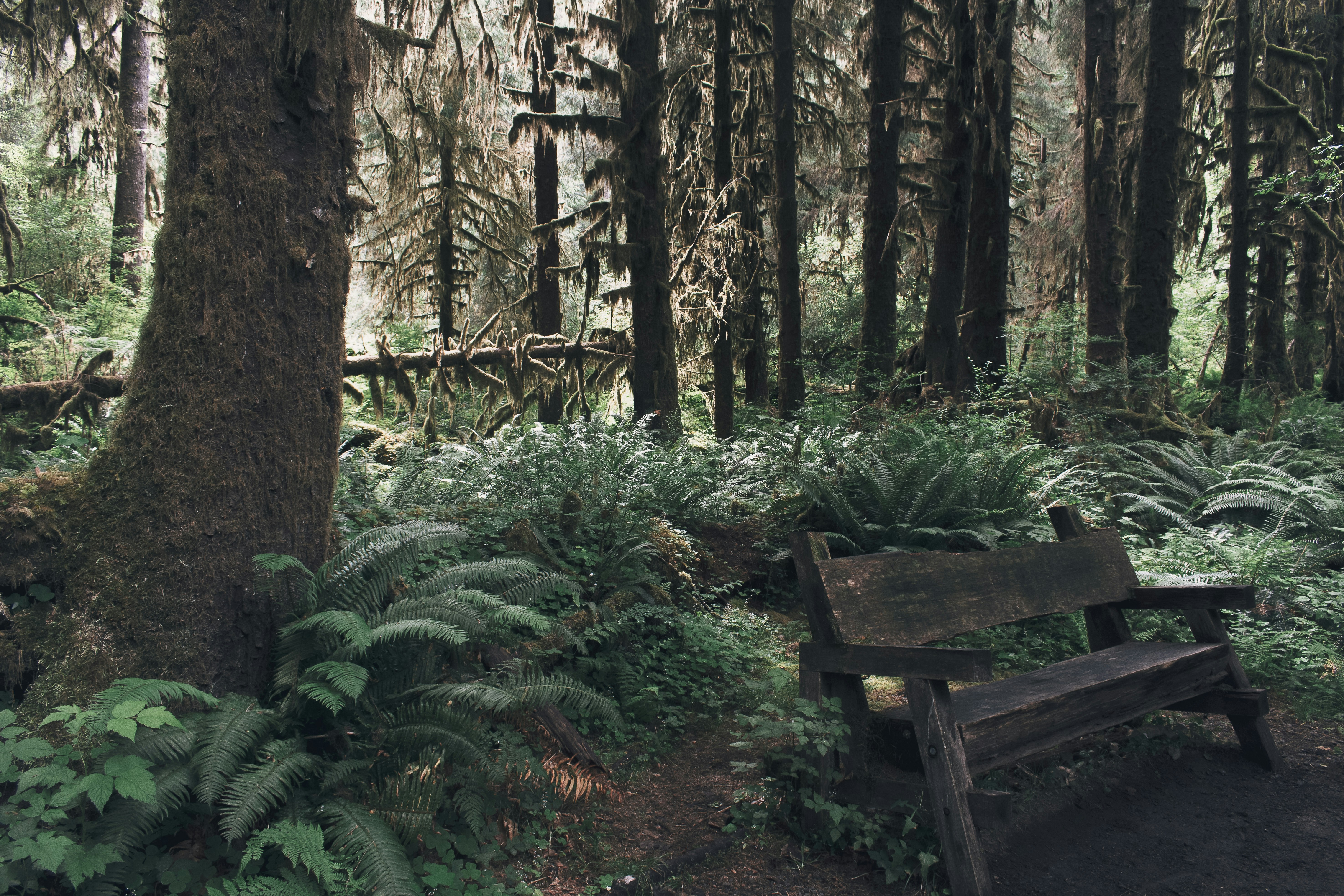 Hiking trail